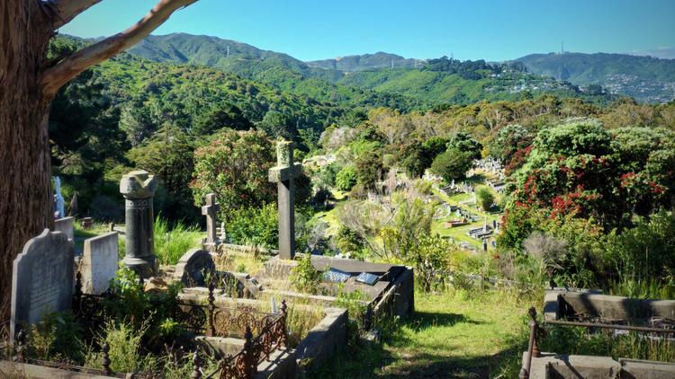 Karori Cemetery graves in the foreground with a mountain skyline beyond