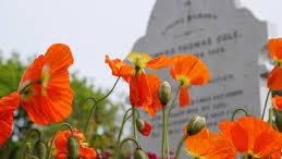 Photo of orange flowers in front of a gravestone. 