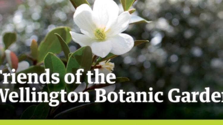 Friends of the Wellington Botanic Garden logo
