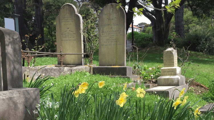 Photo of 3 tombstones, with daffodils at the front of the frame. The tombstones are surrounded by green grass with trees in the background.